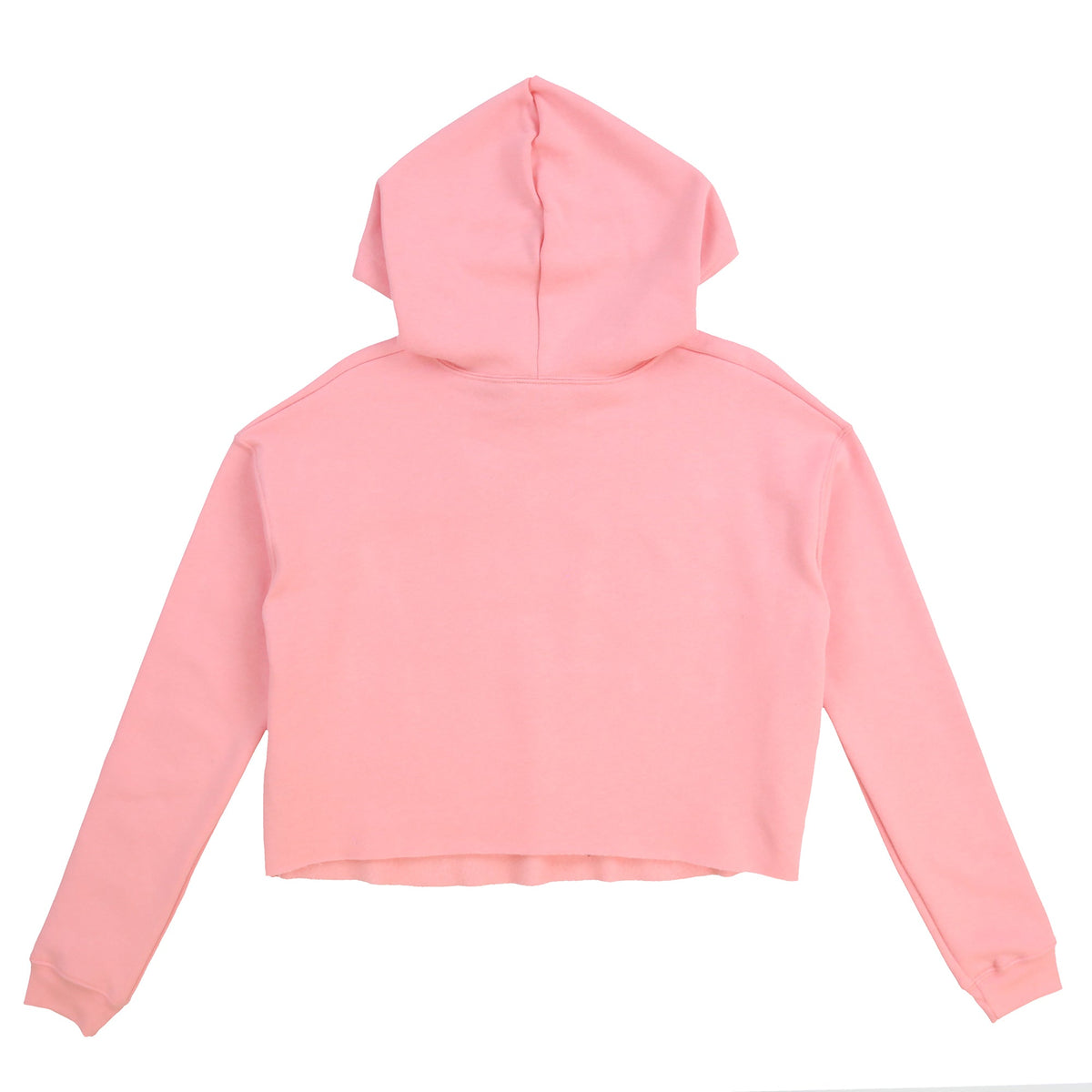 Glory Girl Academy Crop Hoodie (Soft Pink)