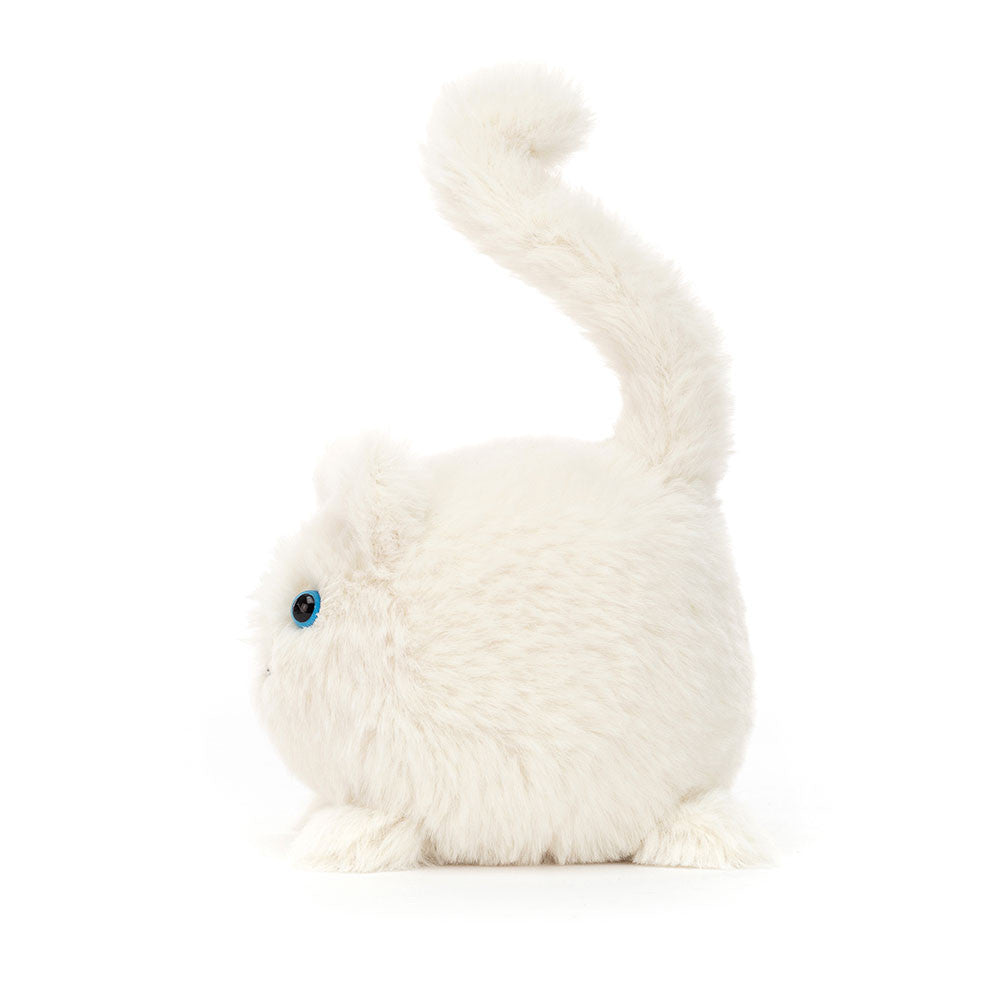 Kitten Caboodle