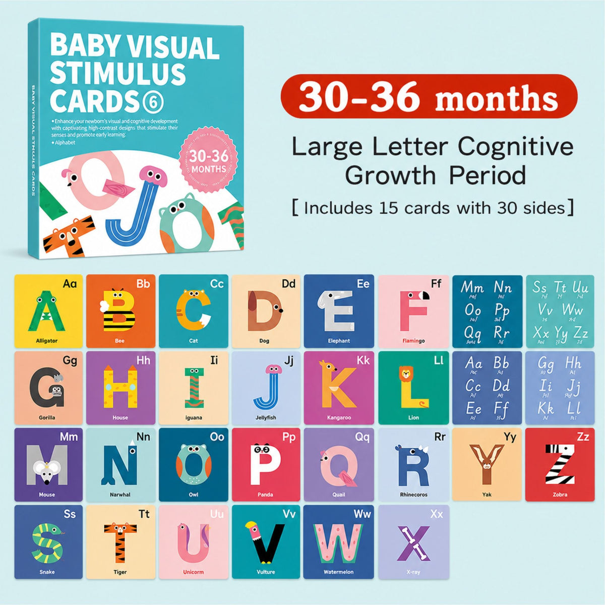 Montessori Baby Visual Cards