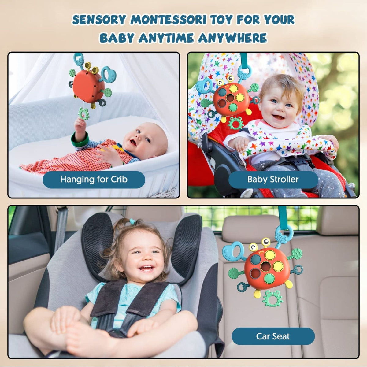 Montessori Crab Explorer