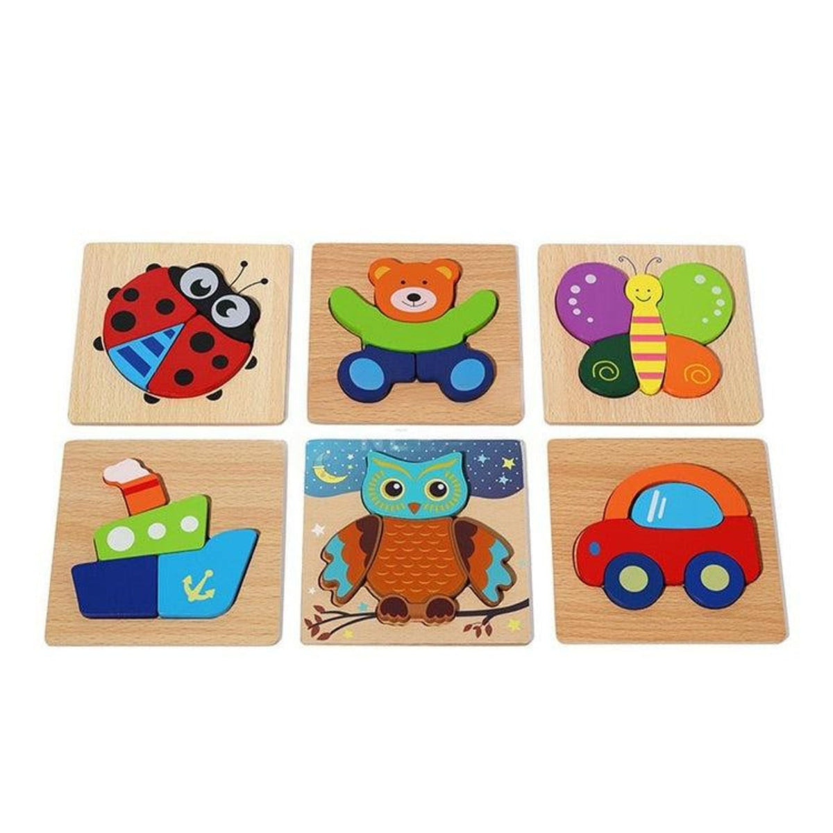 Montessori Puzzle Blocks