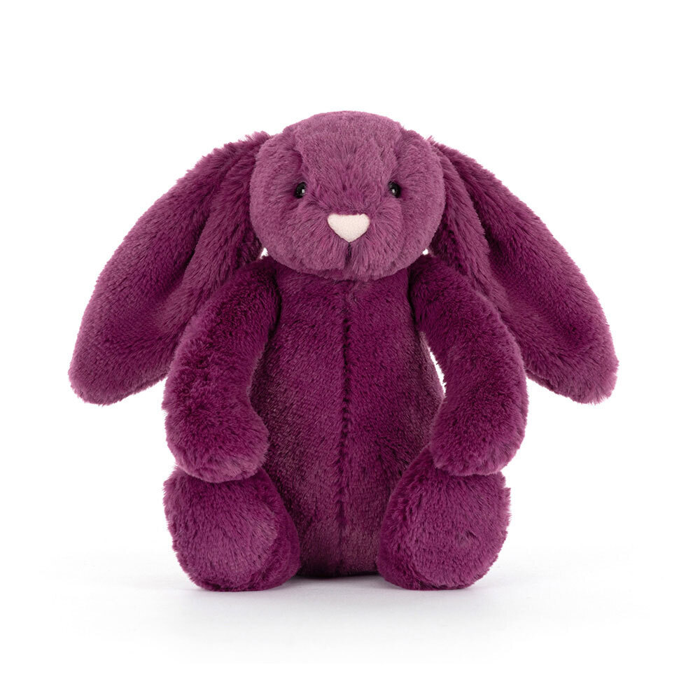 Bashful Allium Bunny