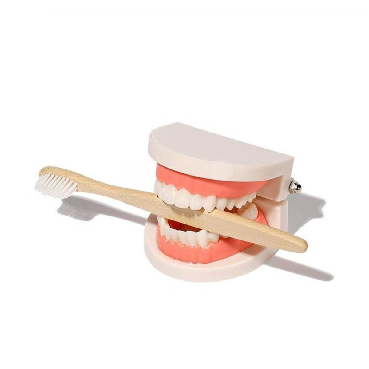 Montessori Brushing Teeth