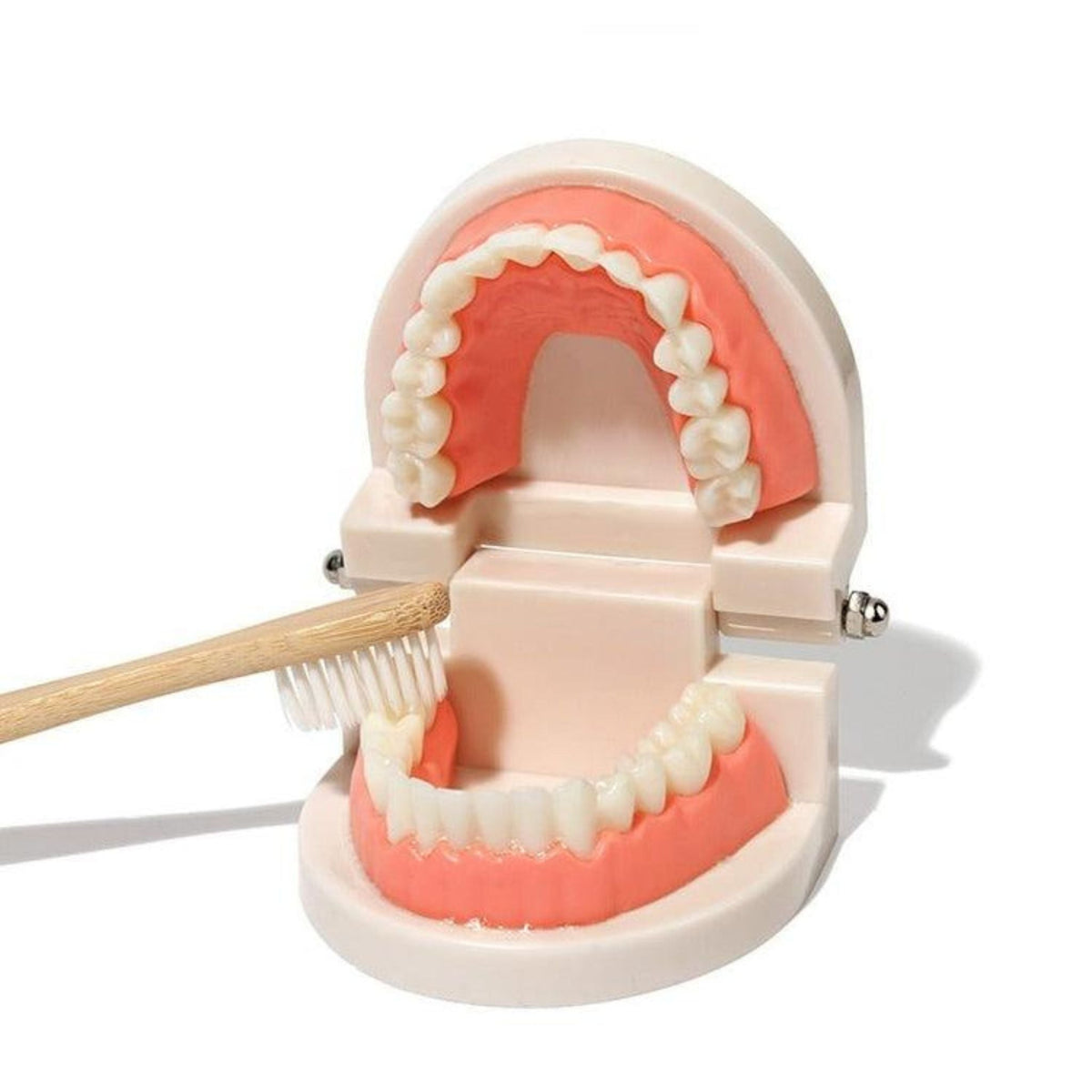Montessori Brushing Teeth