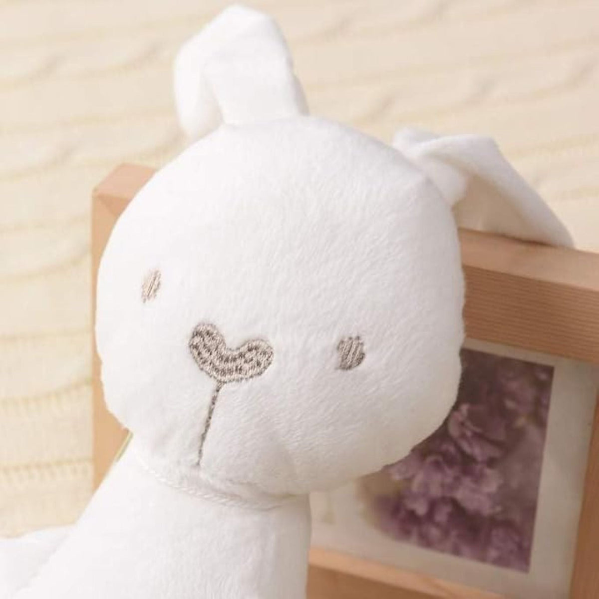 Montessori Snuggle Bunny